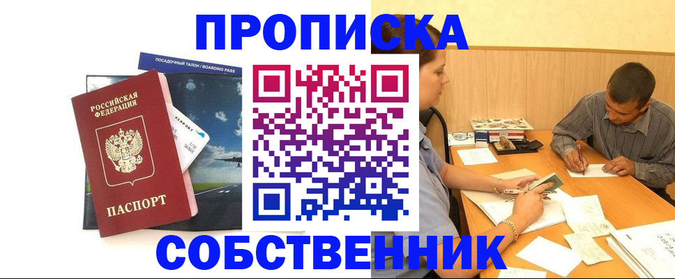 прописка для школы в Звенигово